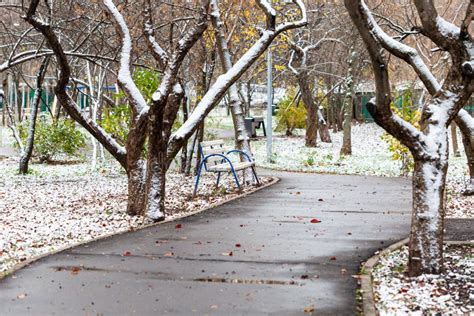 The First Snow In City Park On Autumn Day Stock Photo Image Of Meadow