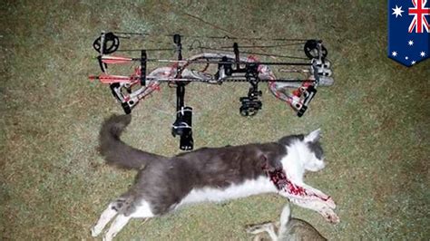 Cat Busters Post Photos Of Dead Cats To Facebook Warning Pet Owners To