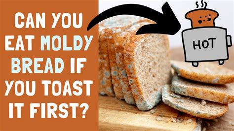 Can You Eat Moldy Bread If You Toast It Bread Poster