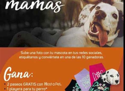 Concurso Maskota Y Host A Pet Día De Las Madres Gana 1 De 10 Premios