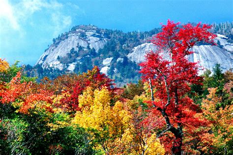 This year's fall foliage season has potential to be the best in years 