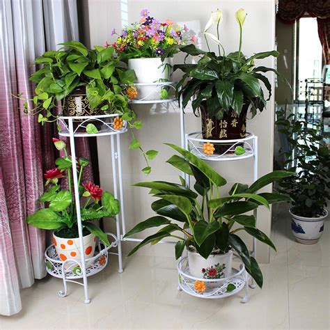 Namun ada baiknya ditanam di pekarangan agar terkena sinar matahari. Bunga Hiasan Dalam Rumah | Desainrumahid.com