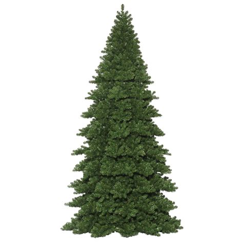 Search 20 Foot Tree
