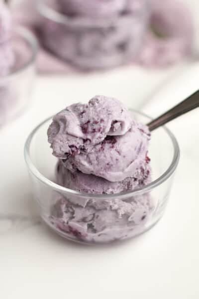 Blueberry Ice Cream Recipe Suebee Homemaker
