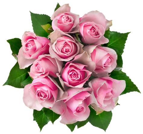 Flower Bouquet Png Transparent Beautifull Rose