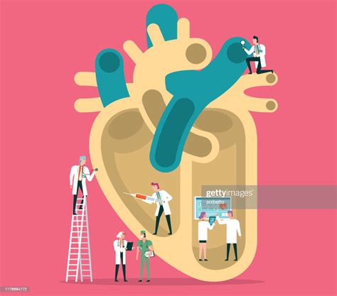 Human Heart High Res Vector Graphic Getty Images