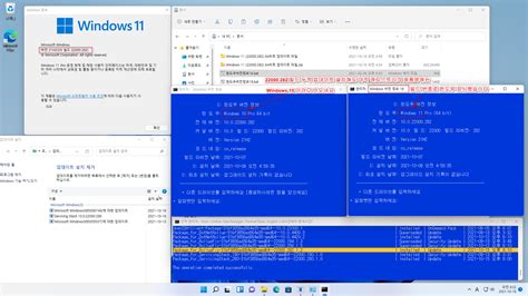 윈도우 포럼 설치사용기 윈도우버전정보19bat 테스트