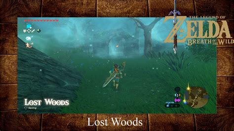 Zelda Breath Of The Wild Lost Woods Tutorial Guide Youtube