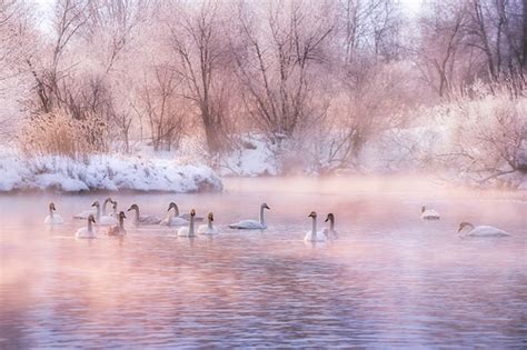 Colors Of Winter Morning Alexey Vymyatnin Flickr