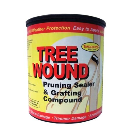 Tanglefoot 0461812 Tree Wound Pruning Sealer And Grafting Compound 1 Pi