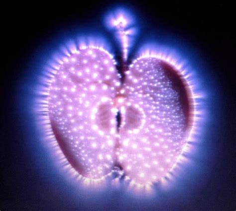 Kirlian Photography Of An Apple How Amazing What A Life Force One A