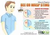 Home Remedies Wasp Stings Swelling Pictures