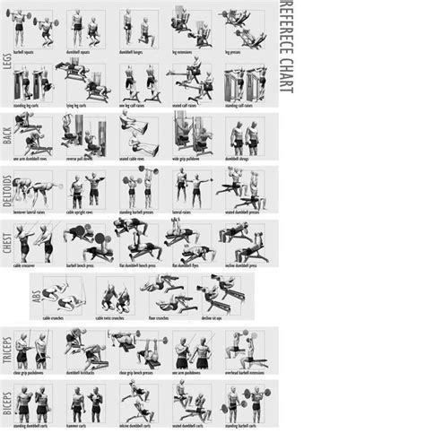 Weight Lifting Chart For Beginners Workout Chart Home