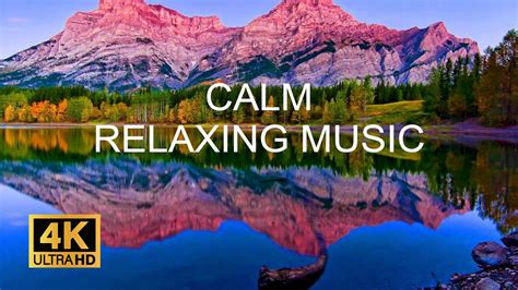 Calm Relaxing Music 🎧 Piano Music For Stress Relief Sounds For Sleeping Relaxation Youtube