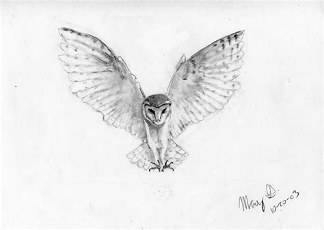 Snow Owl By Elionazale On Deviantart Snowy Owl Tattoo Owl Tattoo