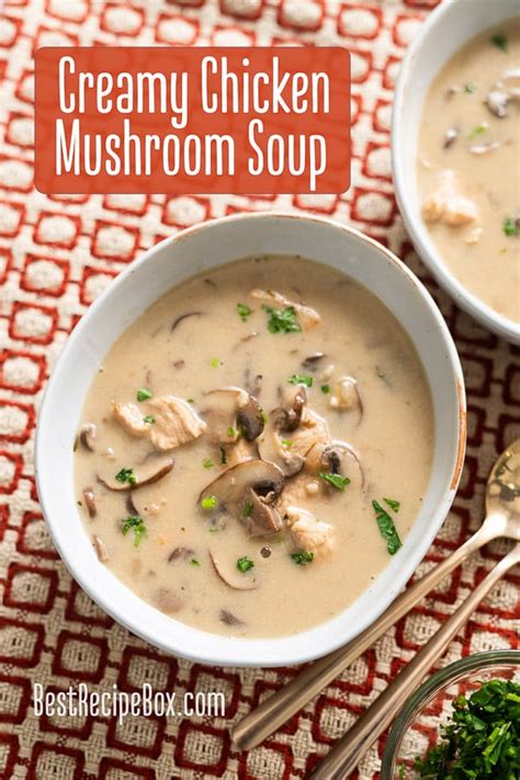 top 10 chicken n mushroom soup recipe