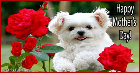 Cute Puppy Wishing Mothers Day Free Happy Mothers Day Ecards 123