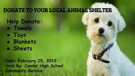 Most shelters only allow volunteers aged 16 and older. Donate to Animal Shelter • Condor High School