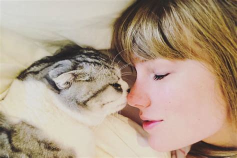 taylor swift s cutest photos with her cats benjamin button olivia and meredith