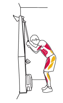 In earlier blogs, we looked at how to study anatomy. Muscles Used by Indoor Nordic Skiing Machines | Concept2