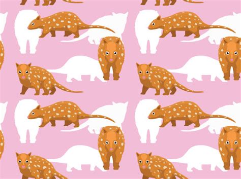 30 Tiger Quoll Illustrations Royalty Free Vector Graphics And Clip Art