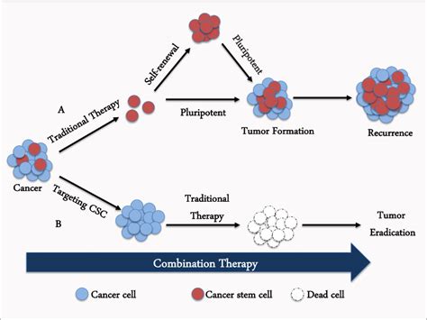 Combination Therapy Between Traditional Cytotoxic Drugs With Cancer
