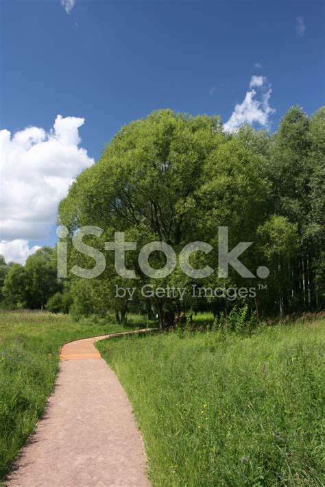 Path In The Park Stock Photo Royalty Free Freeimages