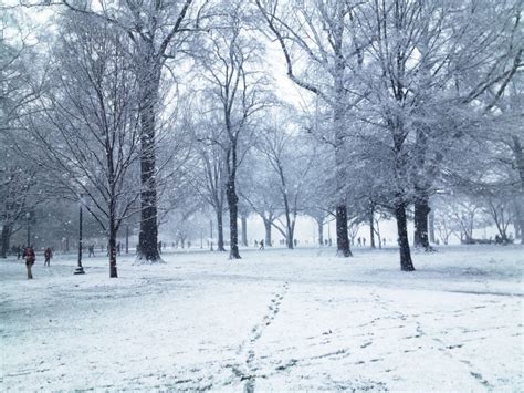 13 Times Snow Transformed Alabama Into Beautiful Scenery