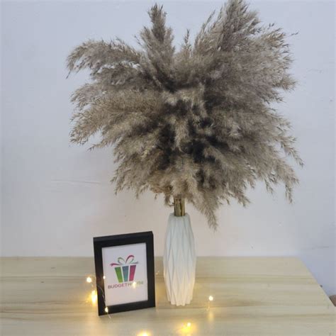 Pampas Grass Decor Ideas Perfect For Any Interior Style Posh Pennies