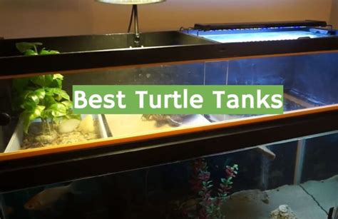 Top 5 Best Turtle Tanks 2021 Review Reptileprofy