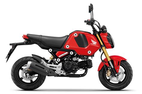 I have seen bitcoin go up 10x, 20x, 30x in a year. 2021 Honda MSX 125 Grom ABS Guide • Total Motorcycle