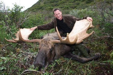 Alaska Moose Hunting Gallery Arctic North Guides