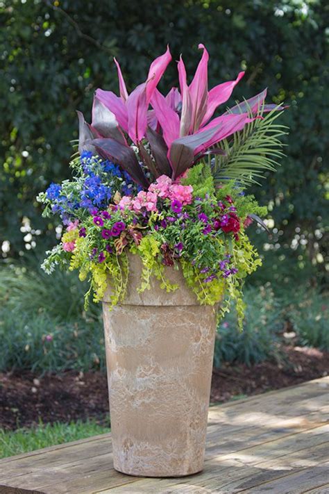Ebay.de has been visited by 100k+ users in the past month Slideshow Details | Container garden design, Container ...