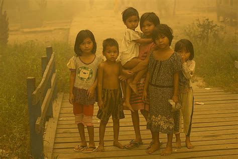 Perjuangan Di Tengah Asap Kenapa Kebakaran Hutan Dan Lahan Tak Kunjung