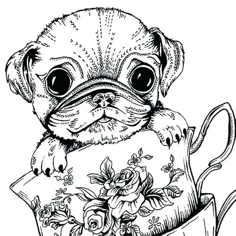 Realistic Puppy Coloring Pages To Print Check Out Our Realistic Puppy