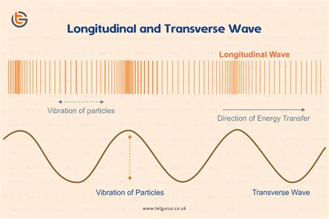 What Is The Difference Between Transverse And Longitudinal Waves