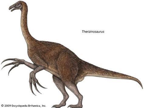 Therizinosaur Dinosaur