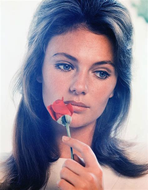 Jacqueline Bisset Famosos Hollywood Clásico Actrices Hollywood