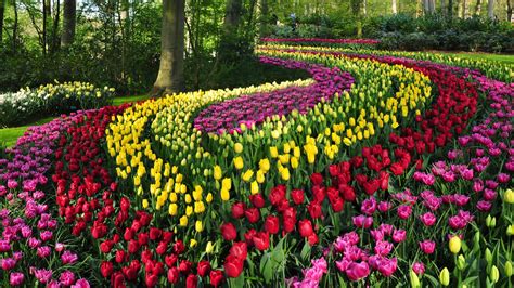 Several changes can be made till final design is decided, saving time & avoid errors when building it #SomeGoodNews: This Dutch Garden's Virtual Tour Won't Let ...