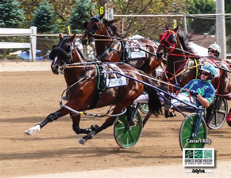 Harness Racing Museum Chris Tully Trot