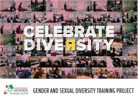 Gender And Sexual Diversity Training Project Archives Transnetv2