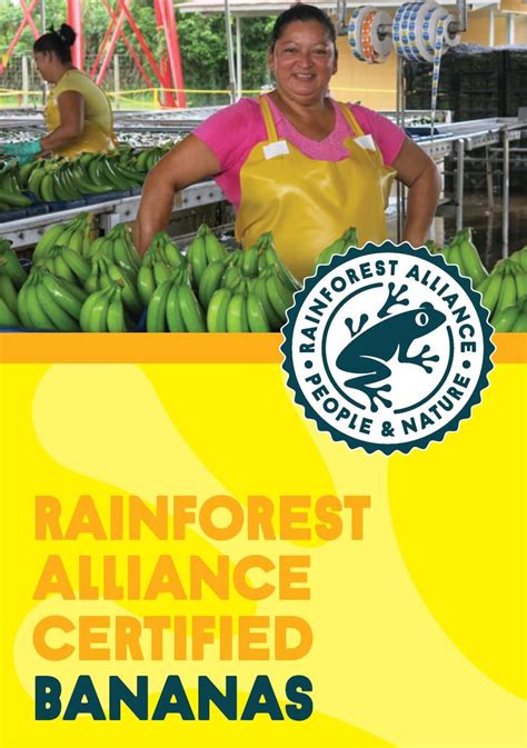 Leaflet Rainforest Alliance Certified Bananas Rainforest Alliance