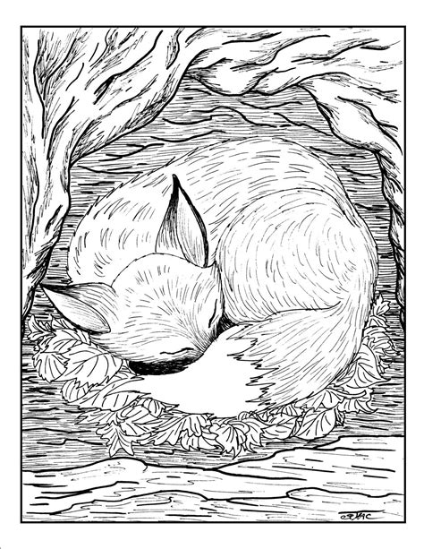 Free Adult Coloring Pages Smacs Place To Be Fox Coloring Page