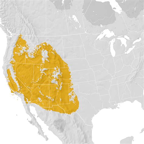 Sage Thrasher Range Map Post Breeding Migration Ebird Status And