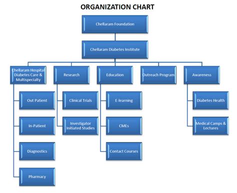 Hospital Departments Organizational Chart Hot Sex Picture