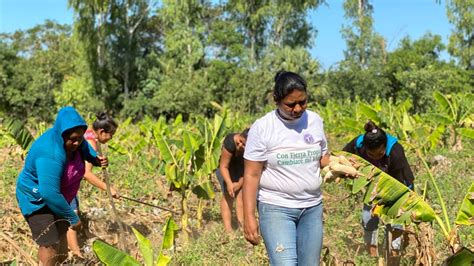 Mujeres Nicaragüenses Transforman Sus Vidas Cultivando La Tierra