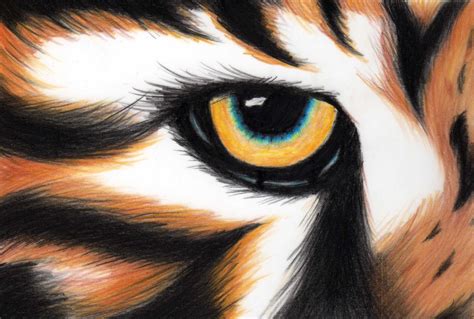 Tigers Eye By Sonidoespektral On Deviantart Eye Painting Tiger Eye