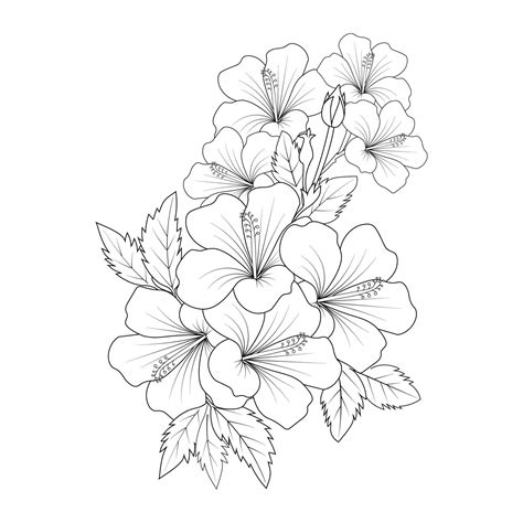 Rose Of Sharon Flower Doodle Line Art Coloring Book Page Of Vector