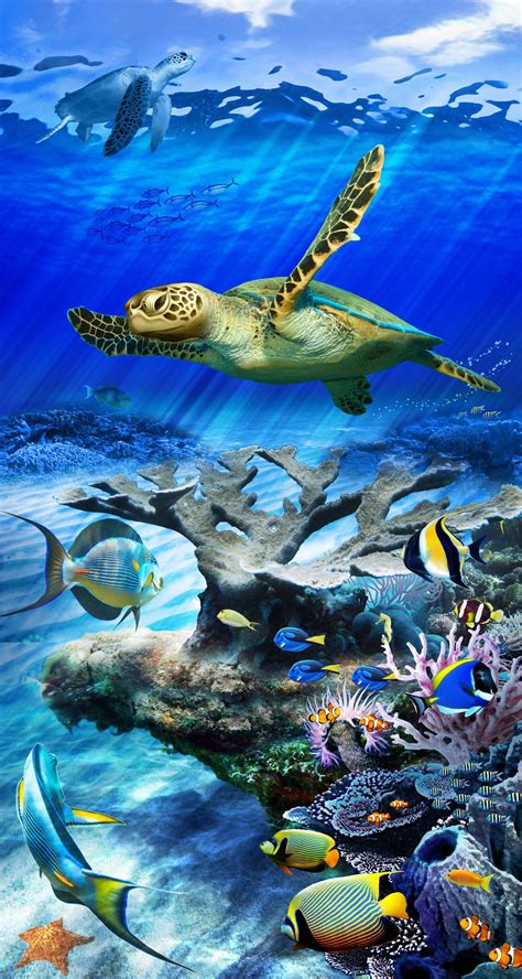 Sea Turtle Reef Stained Glass Art Sea Turtle Pictures