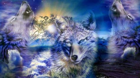 3d Hd Wallpapers Wolf Wolf Background Images